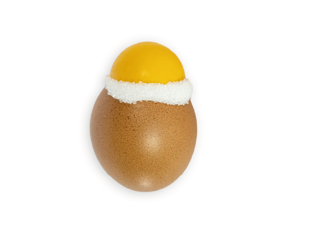 Œuf coquille (65g)